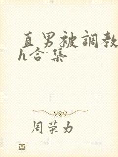 直男被调教成受h合集