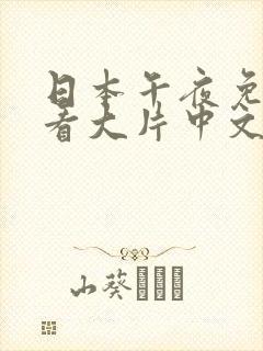 日本午夜免a费看大片中文4
