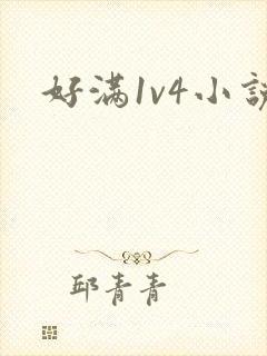 好满1v4小说