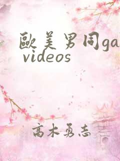 欧美男同gay videos