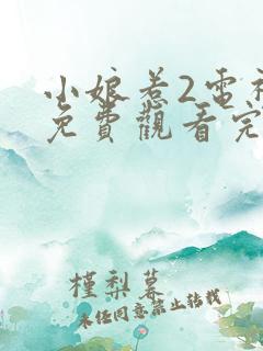 小娘惹2电视剧免费观看完整版