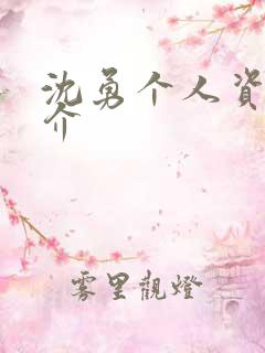 沈勇个人资料简介