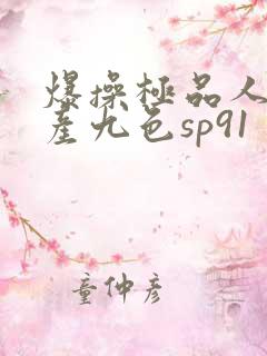 爆操极品人妻国产九色sp91
