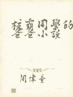 校霸同学的痞坏爸爸小说