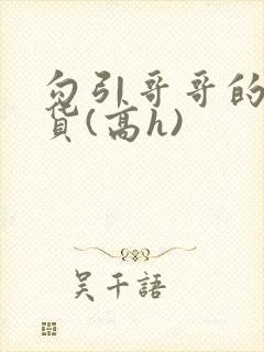 勾引哥哥的小骚货(高h)