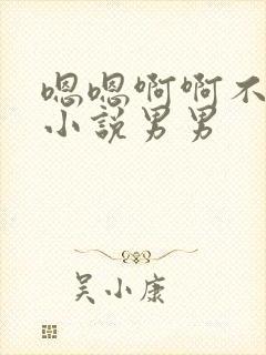 嗯嗯啊啊不要啊小说男男