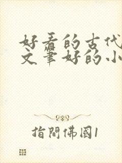 好看的古代言情文笔好的小说