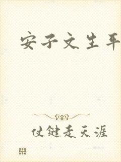 安子文生平简介