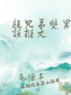 亲兄弟双男主小说推文