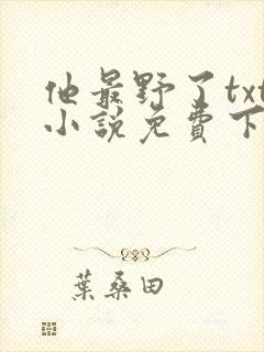 他最野了txt小说免费下载