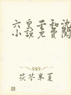 六皇子和沈落雁小说免费阅读