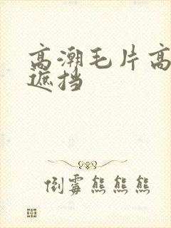 高潮毛片高清无遮挡