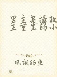 男主是摄政王女主重生的小说