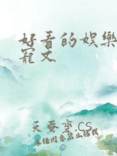 好看的娱乐圈甜宠文