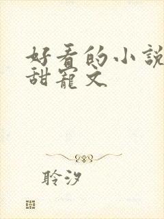 好看的小说言情甜宠文