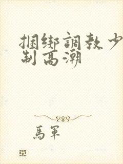 捆绑调教少妇强制高潮