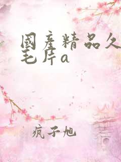 国产精品久久久毛片a