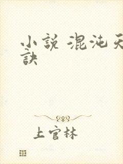 小说 混沌天帝诀