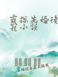 霸总先婚后爱甜宠小说