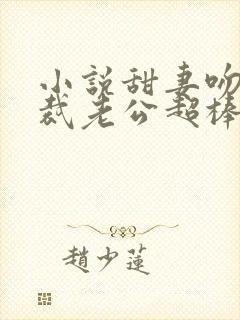 小说甜妻吻安总裁老公超棒的