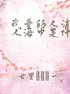 我爱的人消失在人海中是什么歌