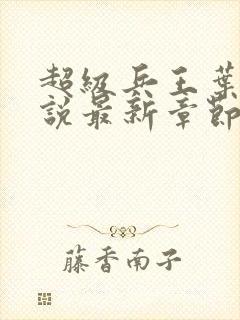 超级兵王叶谦小说最新章节下载