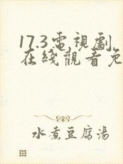 17.3电视剧在线观看免费
