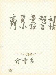 高质量超好看冷门小说言情