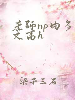 老师np肉多荤文高h