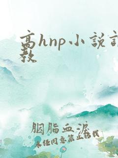 高hnp小说调教