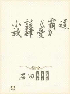 小说《霸道总裁放肆爱》