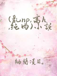 (乱np,高h,纯肉)小说