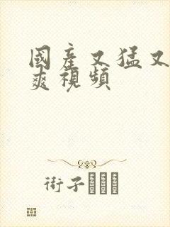 国产又猛又粗又爽视频