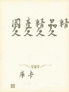 国产精品精品久久久久久