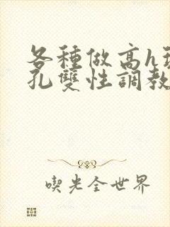 各种做高h玩尿孔双性调教