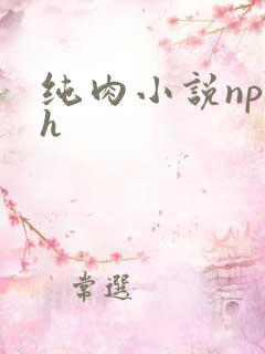纯肉小说np高h