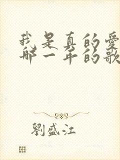 我是真的爱上你哪一年的歌
