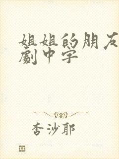 姐姐的朋友2韩剧中字