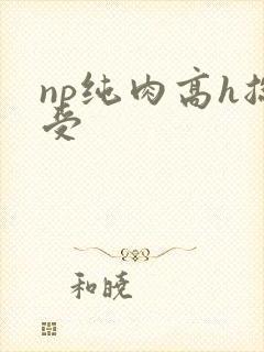 np纯肉高h总受