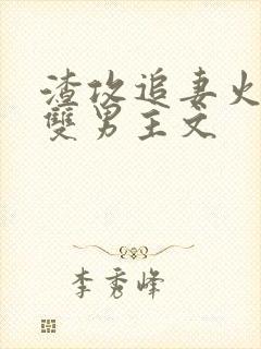 渣攻追妻火葬场双男主文