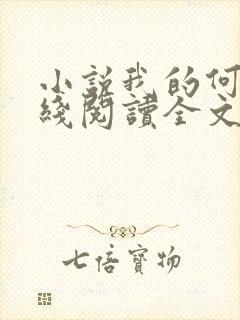 小说我的何姨在线阅读全文