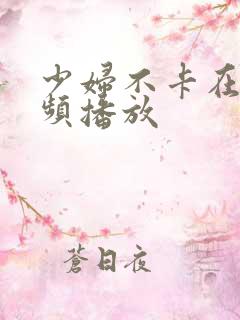 少妇不卡在线视频播放