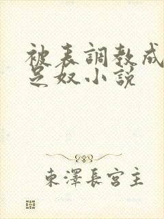 被表调教成她的足奴小说