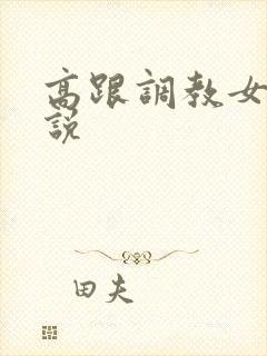 高跟调教女警小说