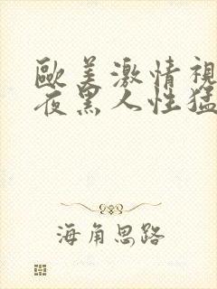 欧美激情视频午夜黑人性猛久久久