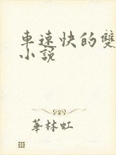 车速快的双男主小说