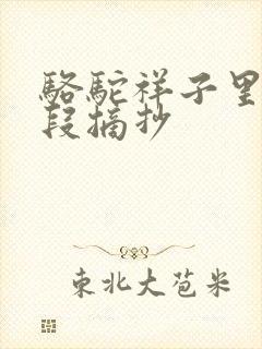 骆驼祥子里的好段摘抄