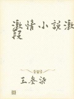 激情小说激情片段