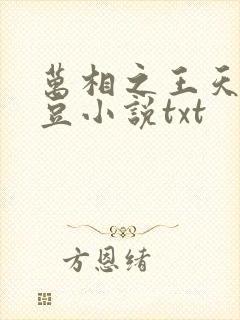 万相之王天蚕土豆小说txt