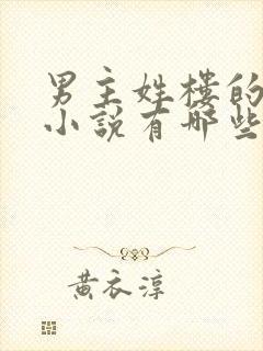 男主姓楼的现代小说有哪些